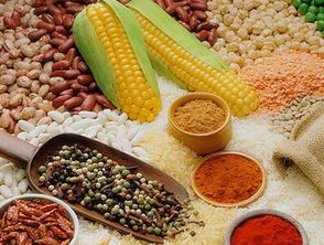 備孕須知 常吃三種助排卵食物，助力好孕降臨