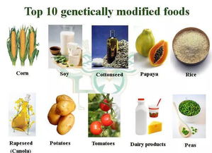 綠色有機食品 健康與環(huán)境雙贏的選擇
